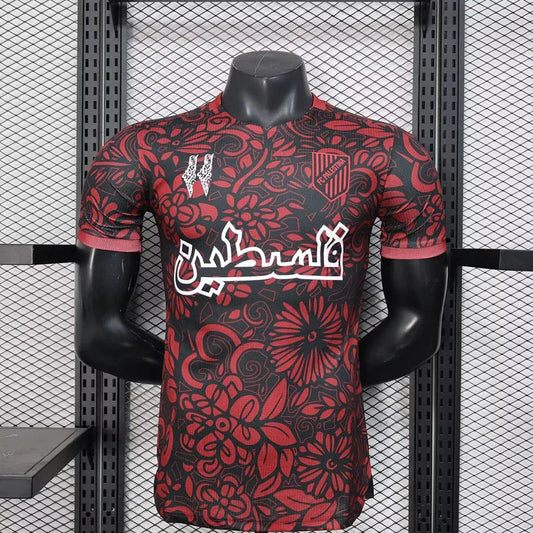 Voetbalshirt Palestina concept 2025-26