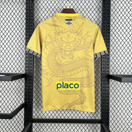 Fotballdrakt Santos Konsept 2025/26 II