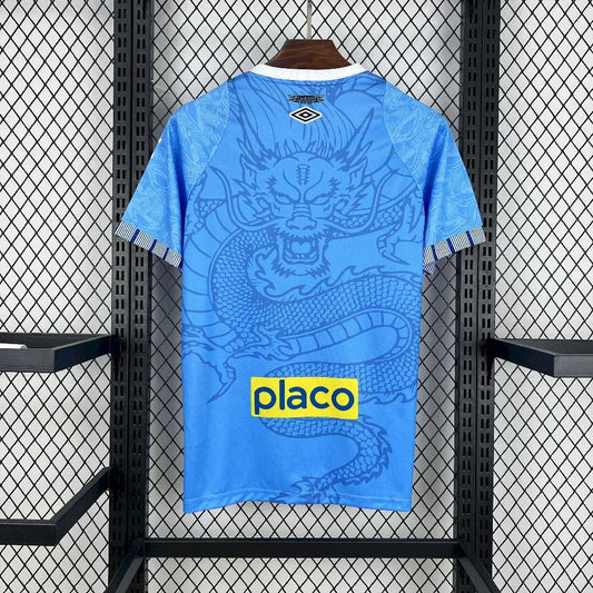 Fotballdrakt Santos Konsept 2025/26 III