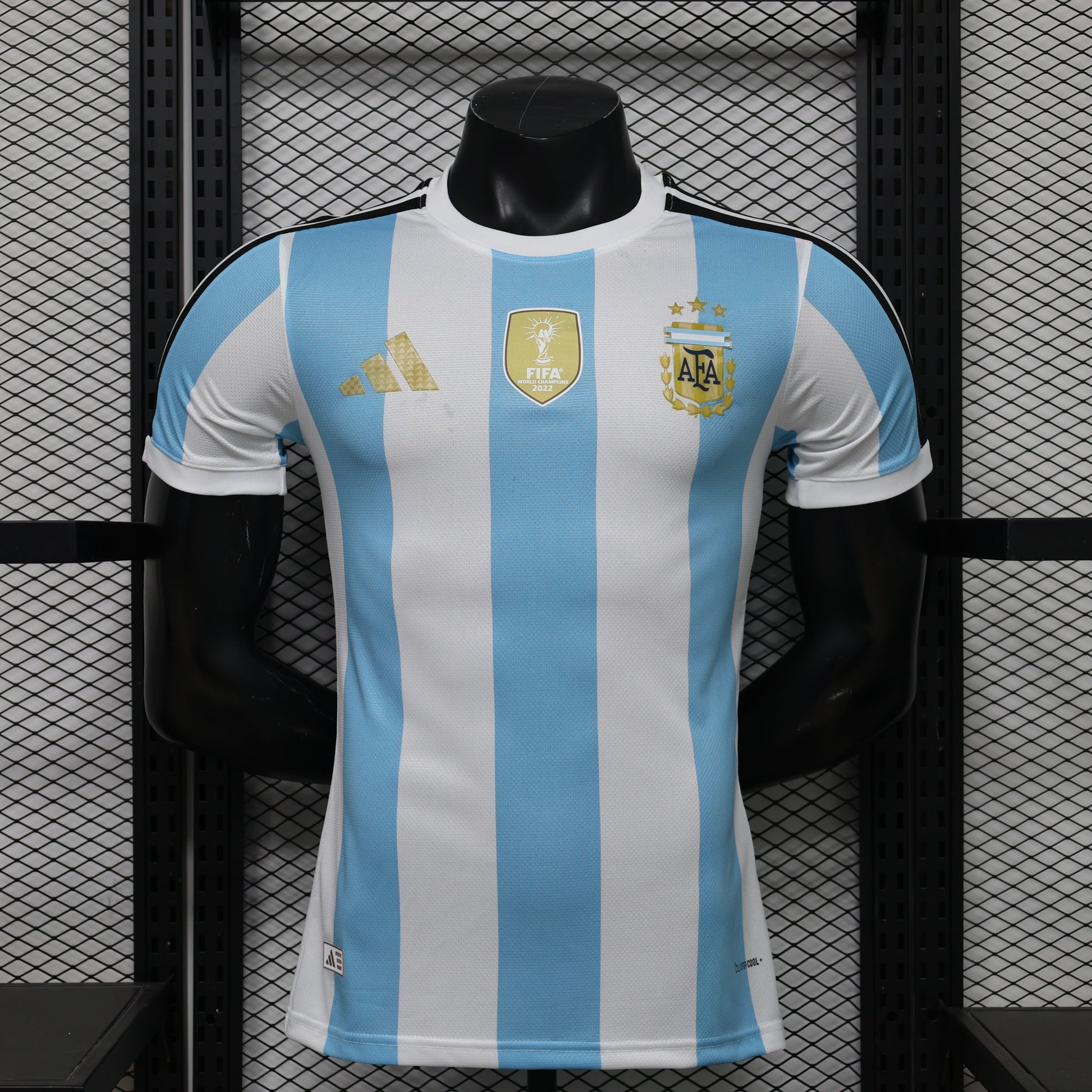 Voetbalshirt Argentinië concept 2026
