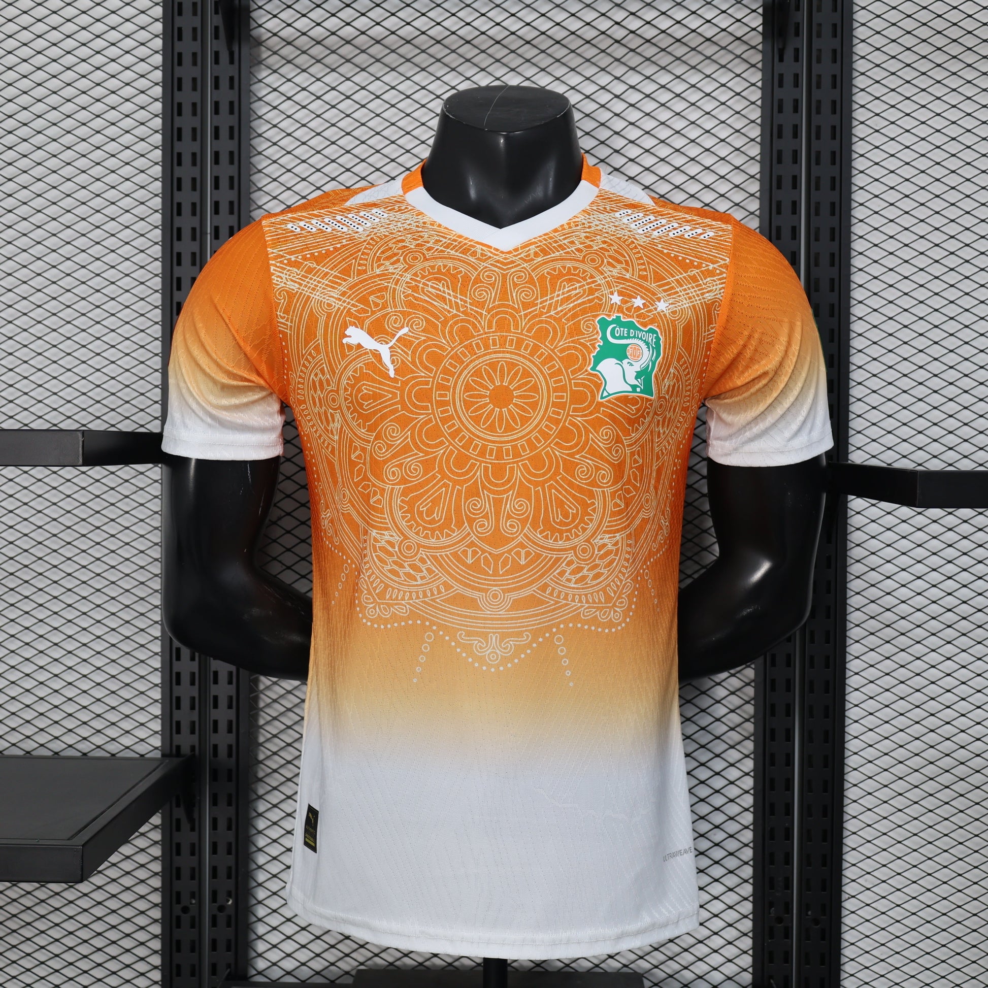 Voetbalshirt Côte d'ivoire Concept 2026