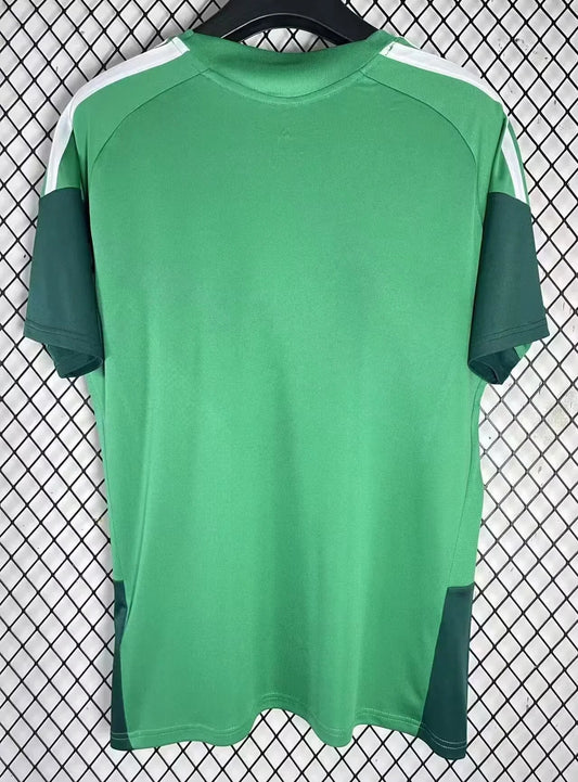 Fotballdrakt Algerie Konsept 2026 II