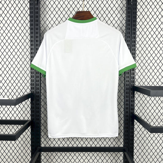 Fotballdrakt Irland Konsept 2026