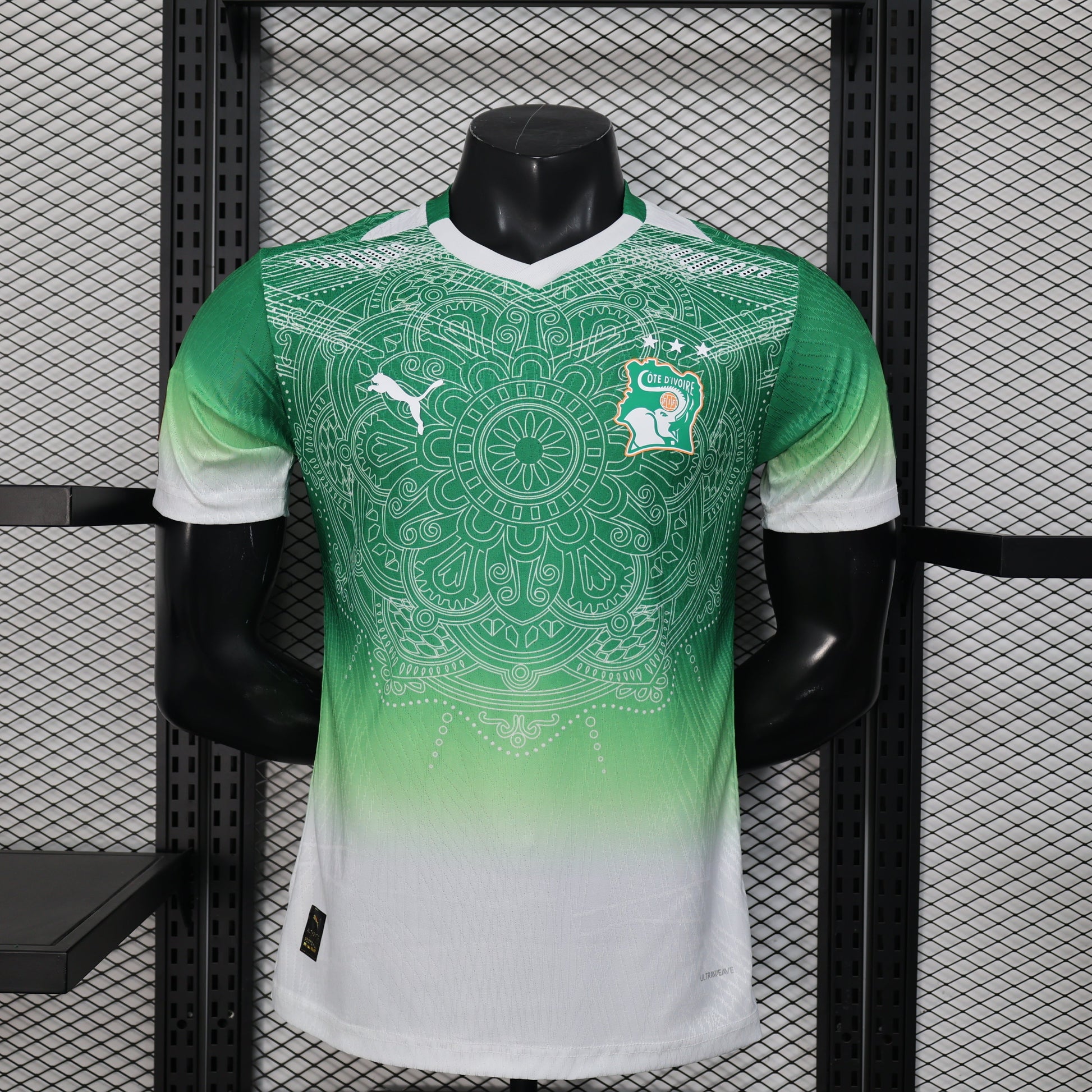 Voetbalshirt Côte d'ivoire Concept 2026